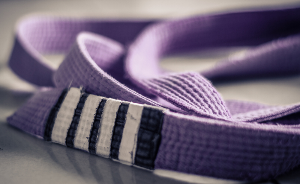 what is a purple belt in jiu jitsu